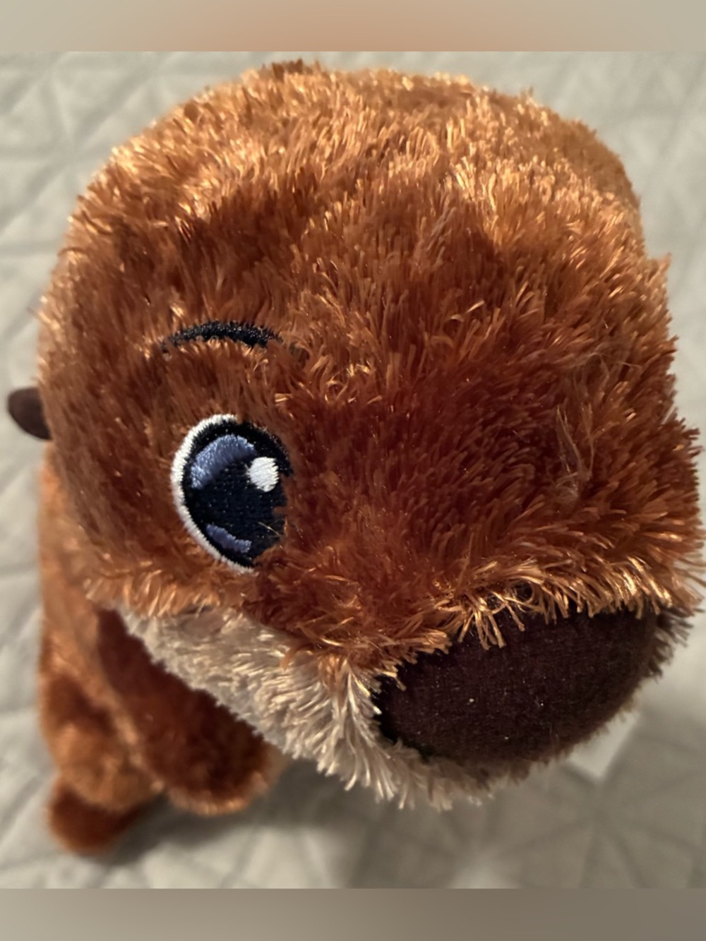 Disney Store Finding Dory Sea Otter 10" Collectible Stuffed Animal Plush Lovey